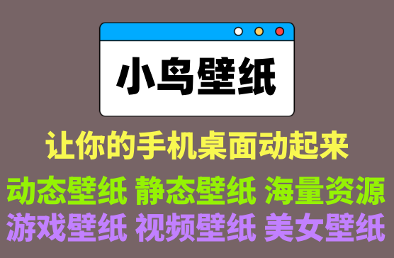 [小鸟壁纸] 让你的手机桌面动起来，超炫酷的手机桌面壁纸